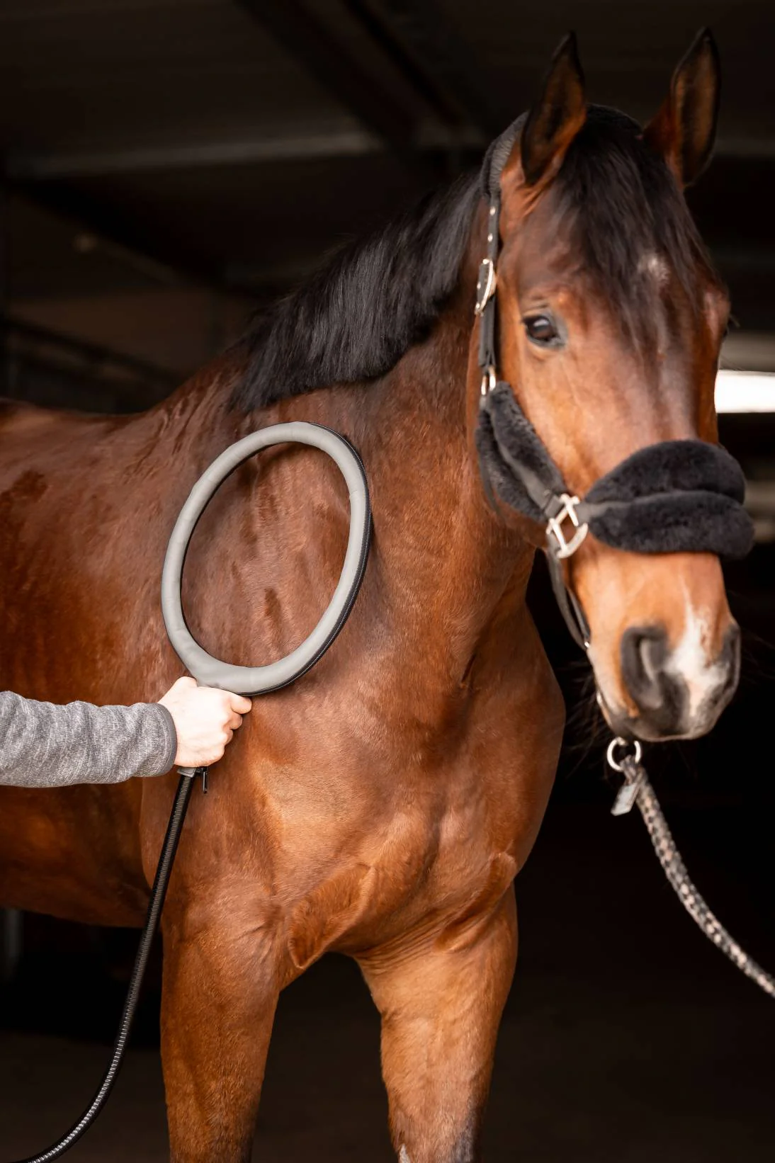 Anwendung der HIPPOFLOW-Schlaufe an der Schulter