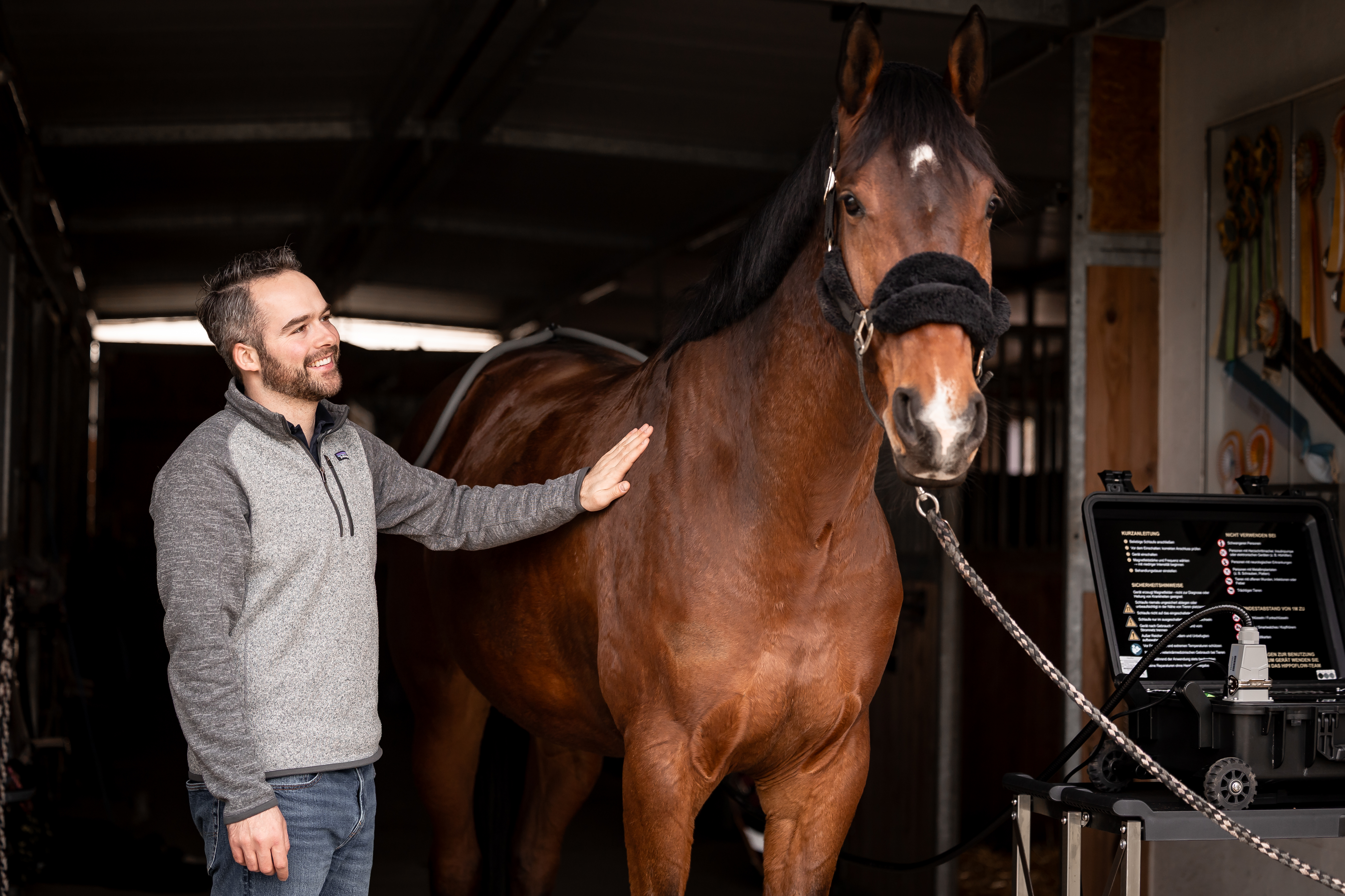 Mensch und Pferd im Stall mit HIPPOFLOW-Anwendung